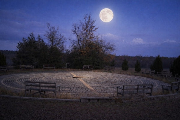 THE MOON AND ME