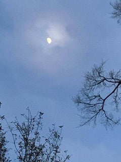 ASTROLOGY COURSE – Online